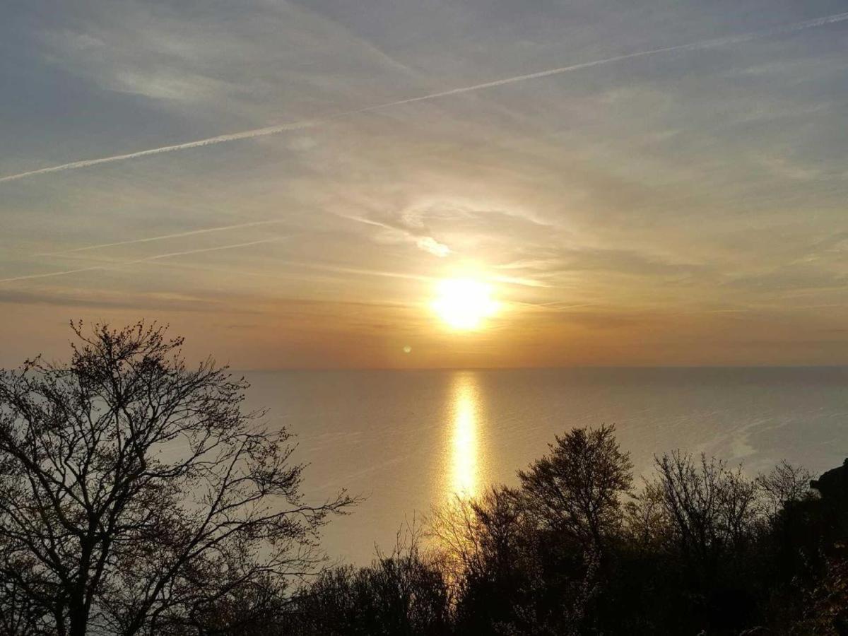 Hotel Babbacombe Palms Torquay Zewnętrze zdjęcie